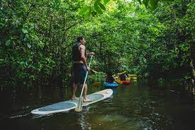 Quel vehicule louer pour un sejour en Guyane?