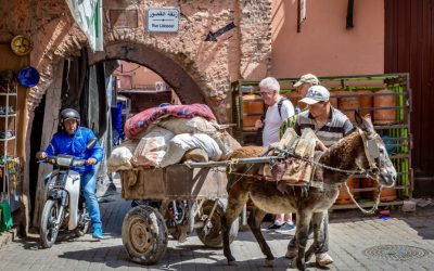 Organisez vos deplacements au Maroc